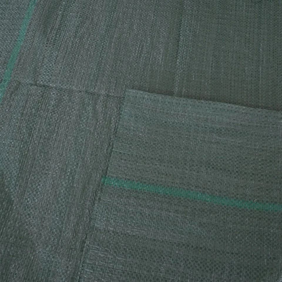 DSC00501