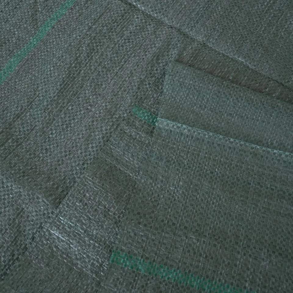 DSC00502